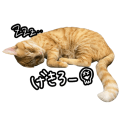 [LINEスタンプ] あほおつ