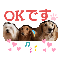 [LINEスタンプ] バブ♡ライ♡そら♡