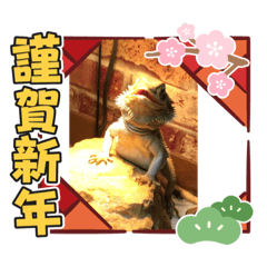 [LINEスタンプ] フトアゴのお正月の画像（メイン）