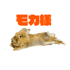 [LINEスタンプ] ライオンラビットのモカさん2