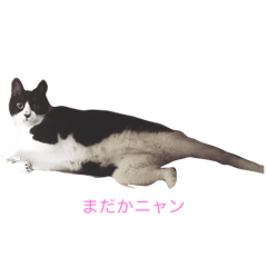 [LINEスタンプ] MARU_chan ここだよ！