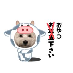 [LINEスタンプ] マルックスのバロンくん3