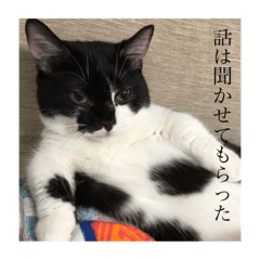 [LINEスタンプ] NinjaCatミライ02