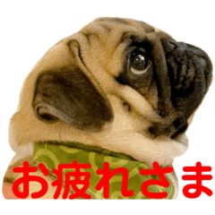 [LINEスタンプ] パグのコタロウ