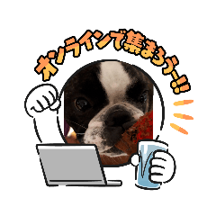 [LINEスタンプ] フレブルモー♪