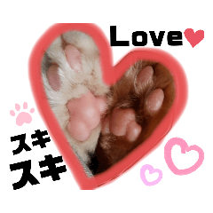 [LINEスタンプ] しくまる2