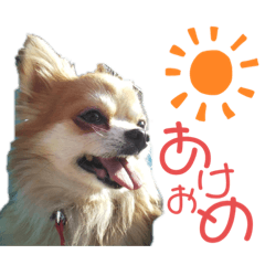 [LINEスタンプ] チロ＆茶々丸【正月】
