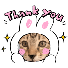 [LINEスタンプ] アッシュ＆ブラン2