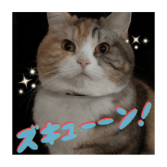 [LINEスタンプ] 毎日ほっこりさくちゃん6