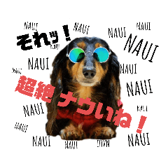 [LINEスタンプ] ミニチュアダックスの気ままなランチ③