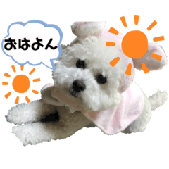 [LINEスタンプ] ビションフリーゼちゃん