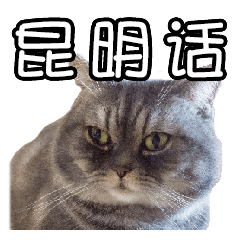 [LINEスタンプ] 猫も昆明方言