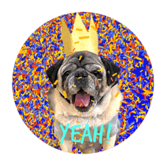 [LINEスタンプ] PUG♡♡♡