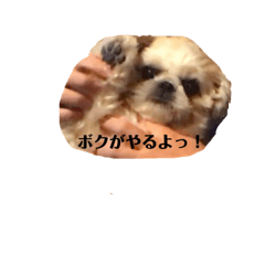 [LINEスタンプ] 日々まるちゃん29