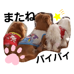 [LINEスタンプ] バブ♡ライ♡そら♡part2
