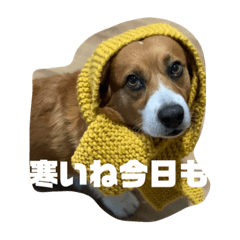 [LINEスタンプ] マル君の日常
