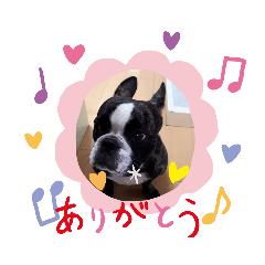 [LINEスタンプ] 希少！フレブルモーちゃんですョ〜♪