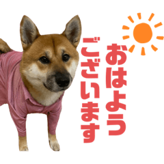 [LINEスタンプ] 荒木三助