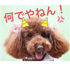 [LINEスタンプ] LimaLima5-2nd