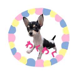 [LINEスタンプ] うちのぎゅう様2