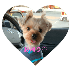 [LINEスタンプ] gengen-love
