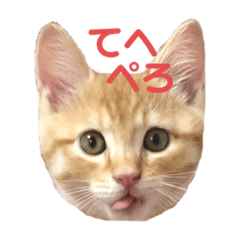 [LINEスタンプ] 虎次と虎美とみみのスタンプ〜part3