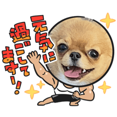 [LINEスタンプ] 可愛イッヌスタンプ