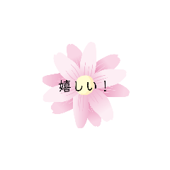 [LINEスタンプ] miiのスタンプ よく使う言葉
