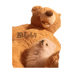 [LINEスタンプ] うちのぼく①