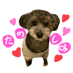 [LINEスタンプ] ハリーさんの日常
