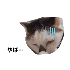 [LINEスタンプ] ふくのメッセージ