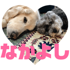[LINEスタンプ] 大きい犬と小さい犬2