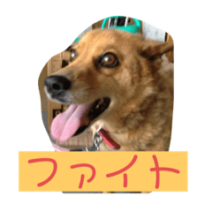 [LINEスタンプ] ちゃぴー。ぷりん。ぴゅあ