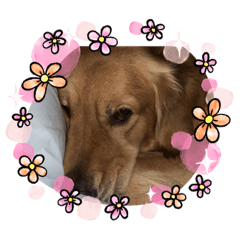 [LINEスタンプ] 愉快な怜央37