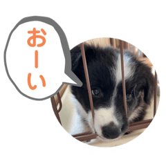 [LINEスタンプ] MOKO ♥︎︎ ①