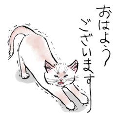 [LINEスタンプ] 我が家のお猫様スタンプ2
