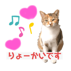 [LINEスタンプ] クリパ猫さん