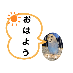 [LINEスタンプ] 三毛子挨拶スタンプ