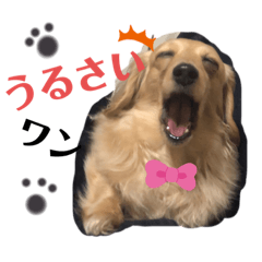 [LINEスタンプ] マロンと時々まろん
