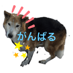 [LINEスタンプ] とのスタンプ！