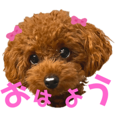 [LINEスタンプ] タラちゃんイクラちゃんとお友達