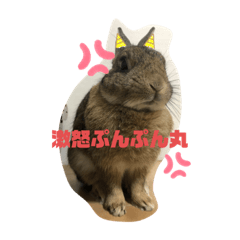 [LINEスタンプ] ほむくん