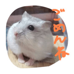 [LINEスタンプ] おかゆのすたんぷ