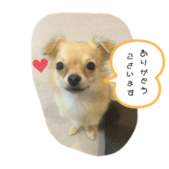 [LINEスタンプ] こてぴー日和2