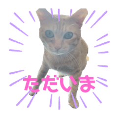 [LINEスタンプ] ぺーとちび