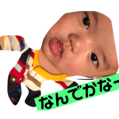 [LINEスタンプ] かいの成長アルバム