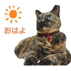 [LINEスタンプ] ミミ vol.1