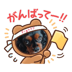 [LINEスタンプ] クロ君