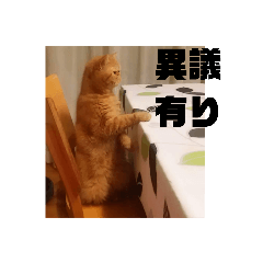 [LINEスタンプ] いぬねこスタンプ うに。いくら。わかめ。2