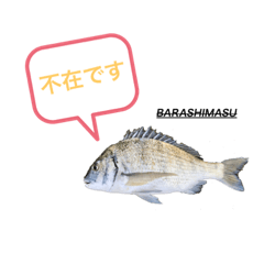 [LINEスタンプ] BARASHIMASUスタンプ(チン編)